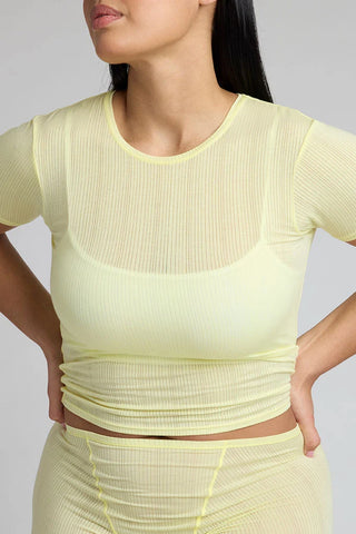 Whipped Baby Tee in Sunshine